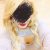Ataşehir Maltepe Bostancı Kadıköy Pendik Kartal Civarı Escortlar - Image 12 Ataşehir Maltepe Bostancı Kadıköy Pendik Kartal Civarı Escortlar - Image 12